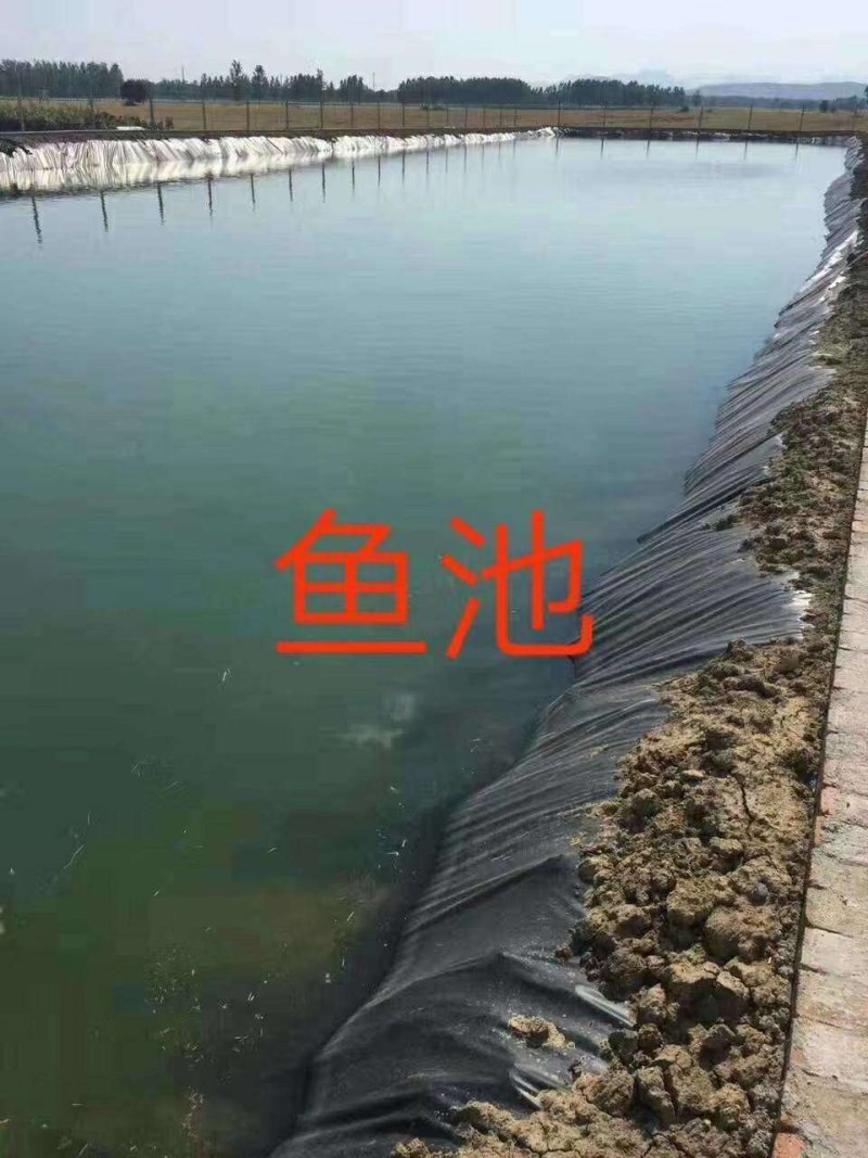 水产养殖土工膜蓄水池土工膜垃圾填埋场土工膜厂家直销