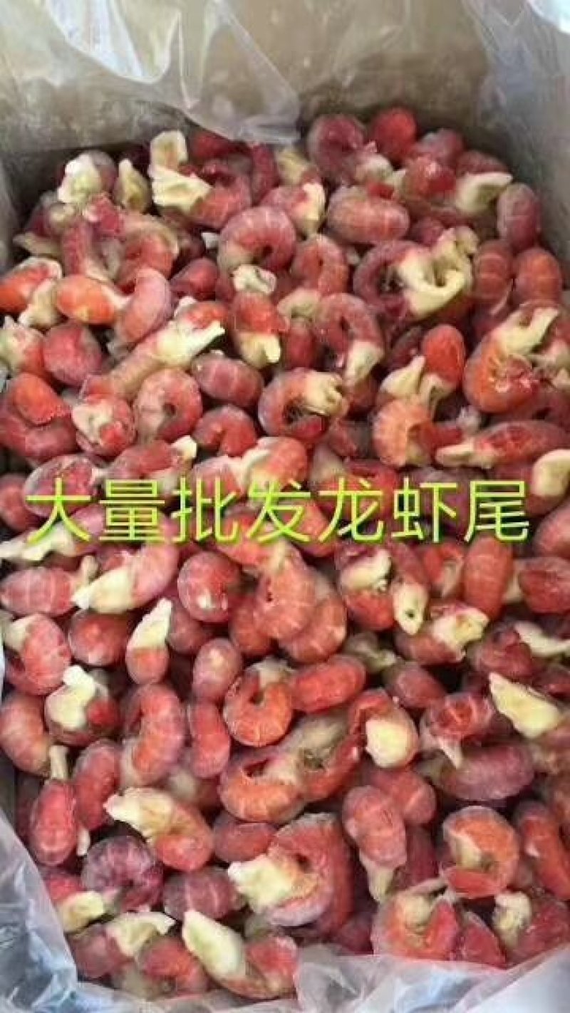 海魂星特级特级龙虾尾质优价亷
