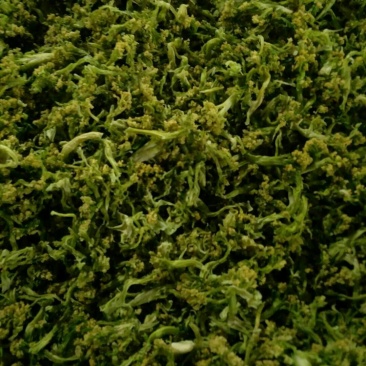 贵族精品花菜干