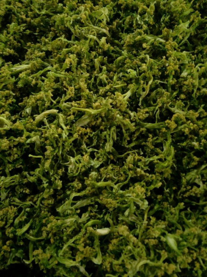 贵族精品花菜干