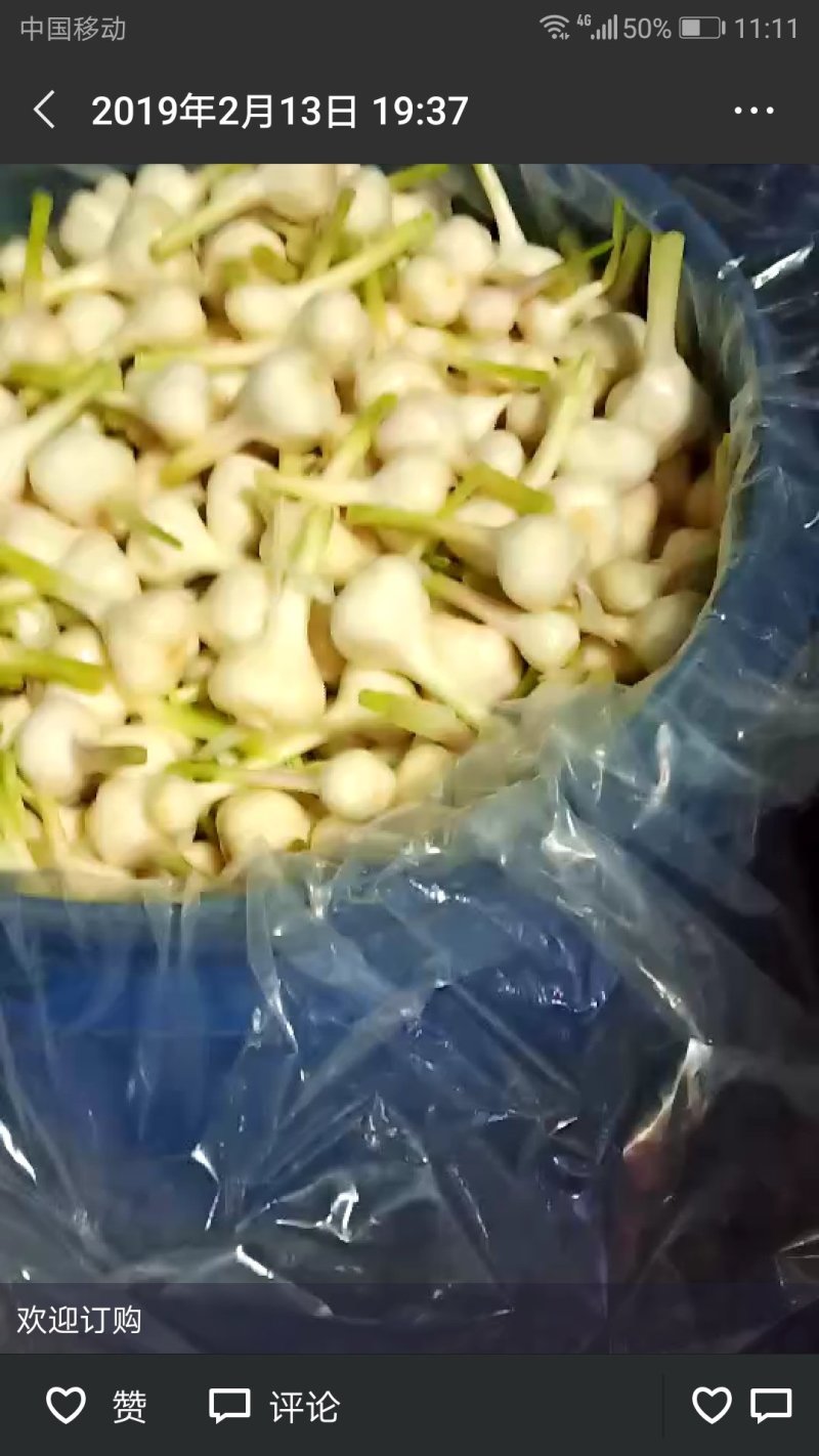香蒜