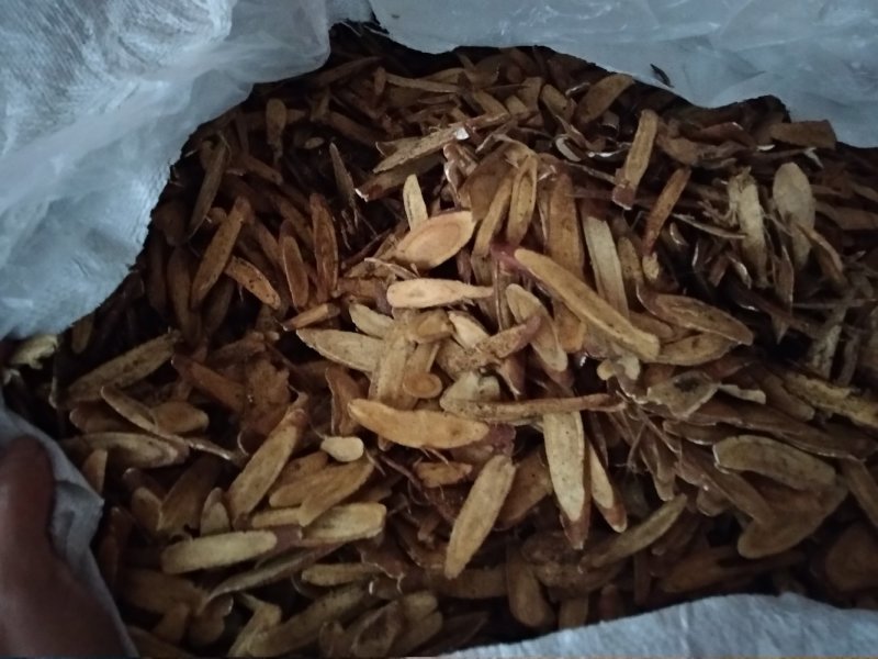 炙甘草