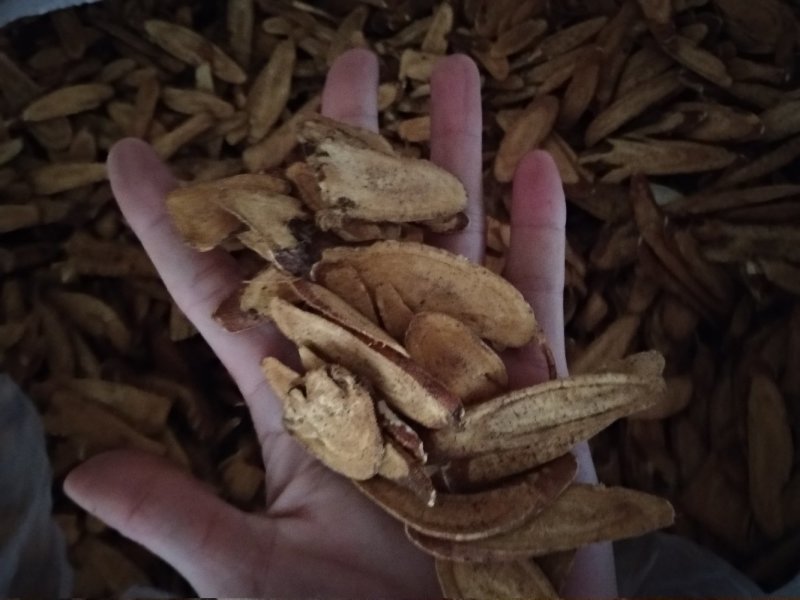 炙甘草