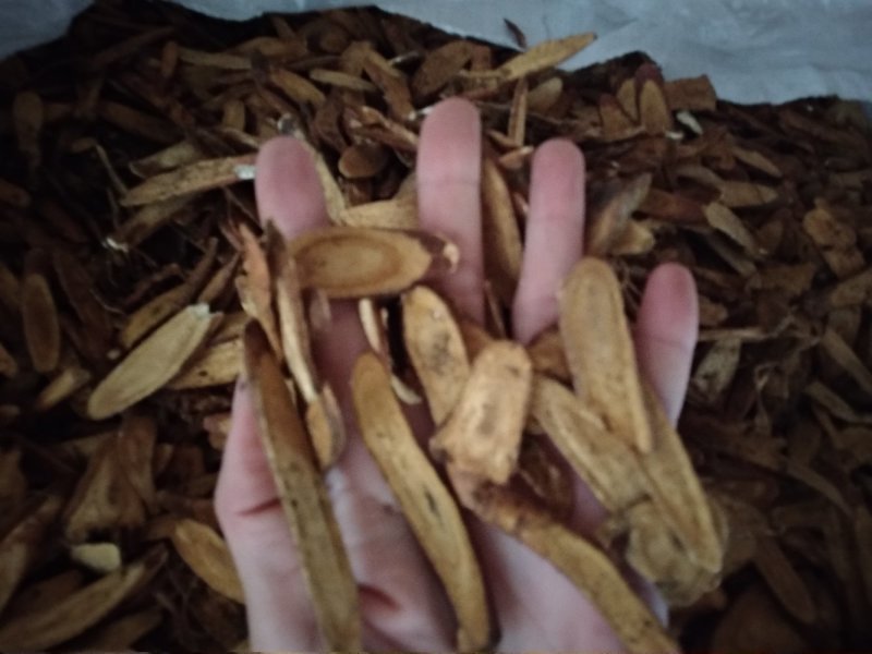 炙甘草