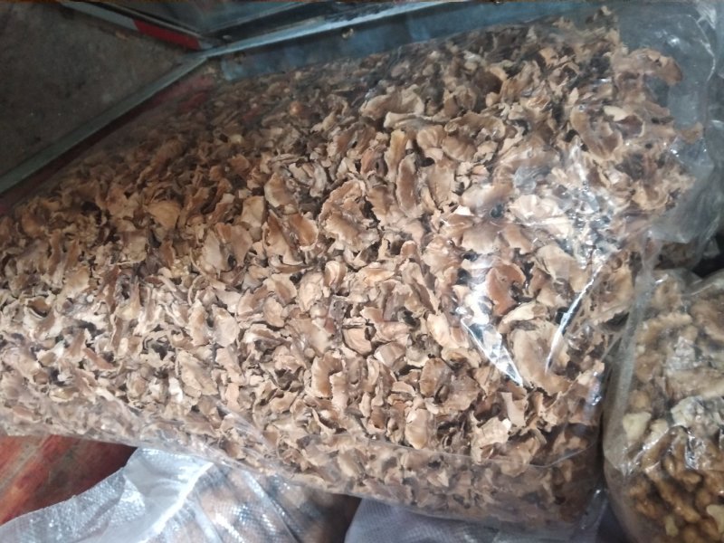 分心木