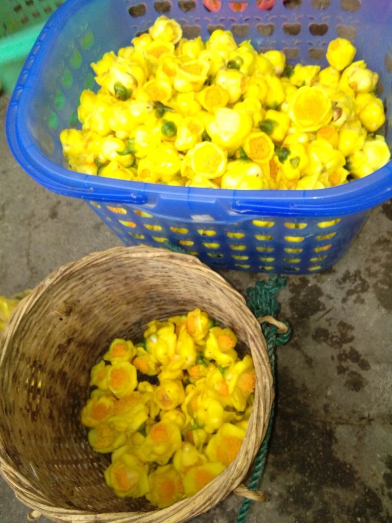 防城港金花茶自产自销深造加工烘干花每1斤300元