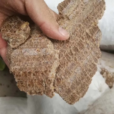 进口纯花生饼，无添加，蛋白46，是饲喂牛羊的原料