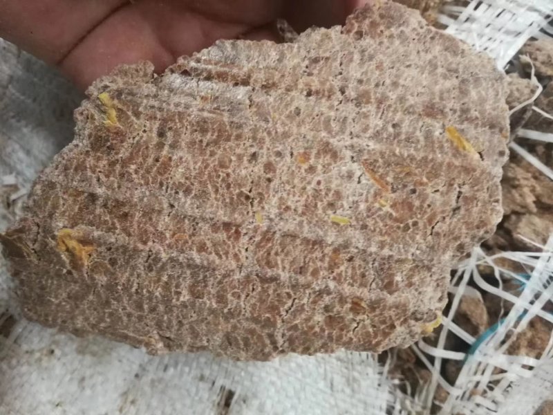 进口纯花生饼，无添加，蛋白46，是饲喂牛羊的原料