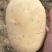 丽薯6号白皮~合作88红皮的