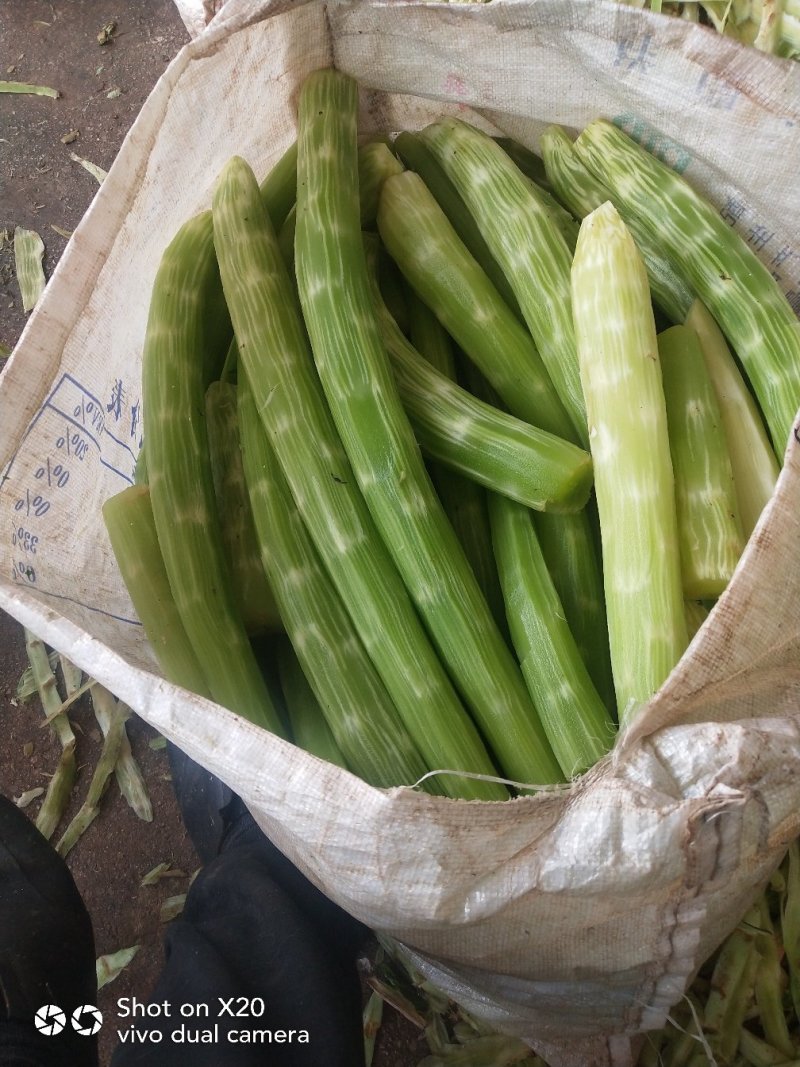 脱水莴笋干片，精挑细选，老嫩适中，口感超好
