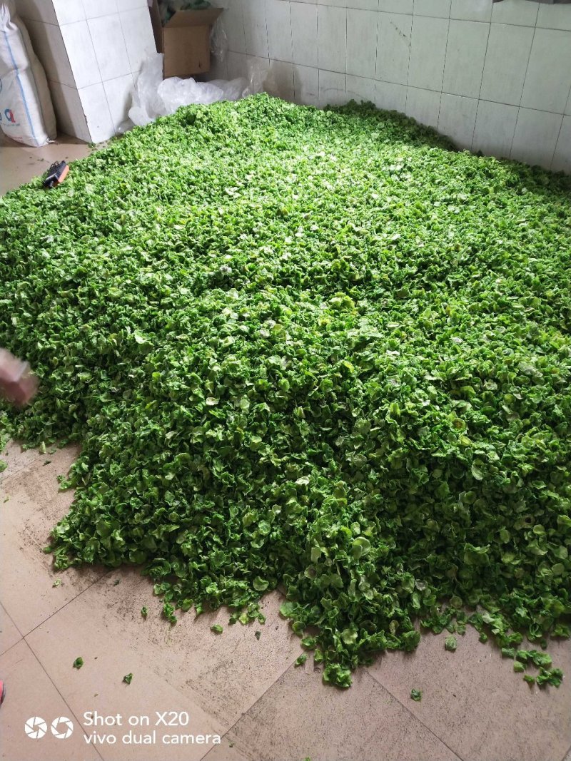 脱水莴笋干片，精挑细选，老嫩适中，口感超好