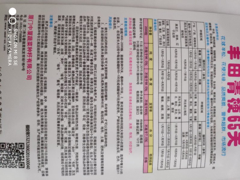 西兰花种子一丰田青梗65天松花菜