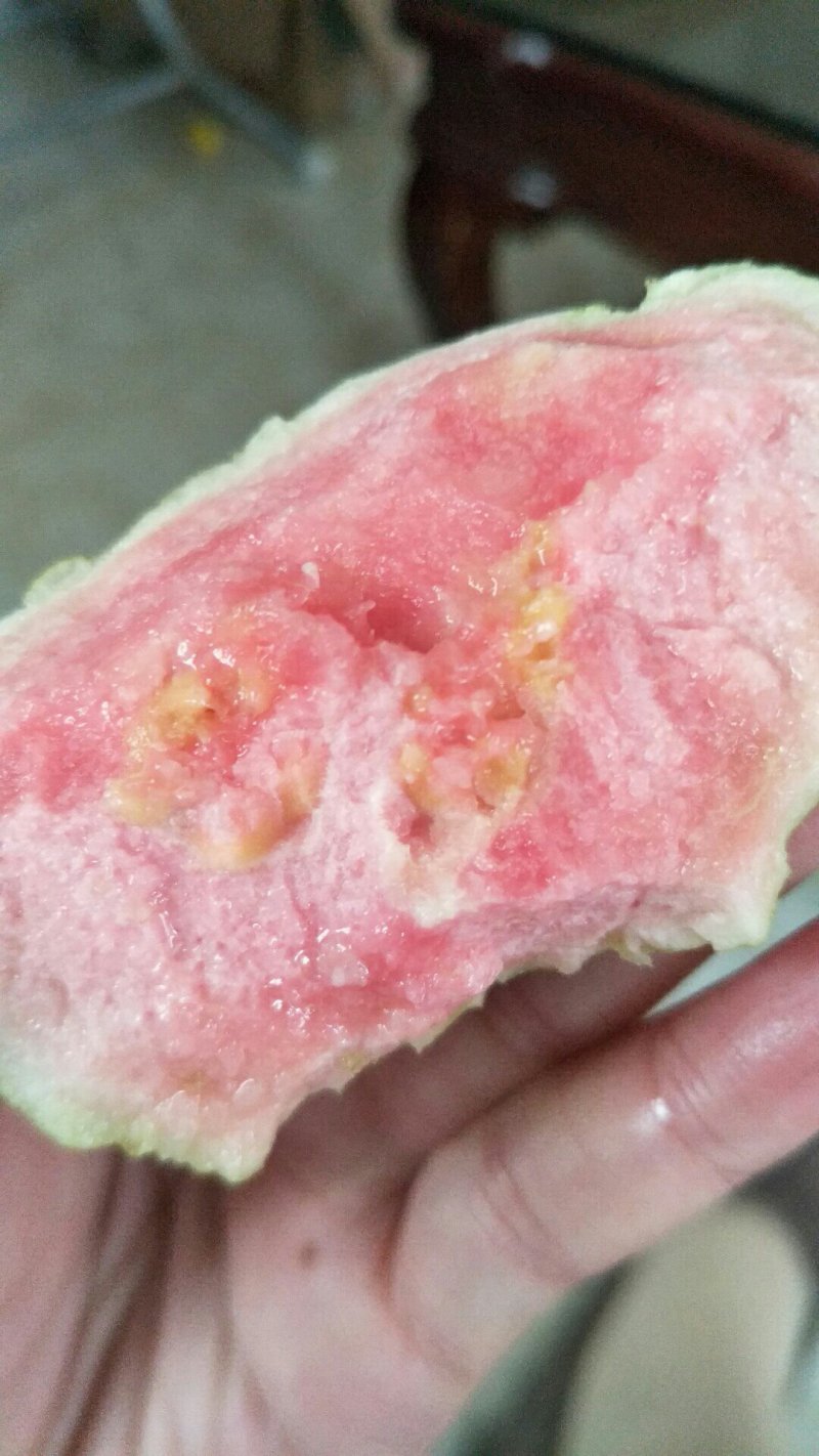 红心芭乐