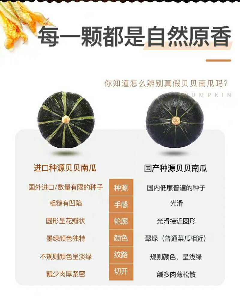 惠和国产贝贝南瓜一件代发礼盒包装国产贝贝南瓜包粉