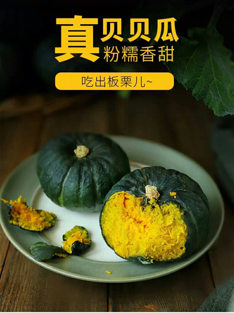 惠和国产贝贝南瓜一件代发礼盒包装国产贝贝南瓜包粉