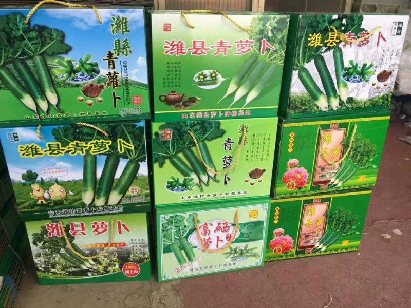 水果萝卜潍坊产地，电商货，市场货，加工厂用的萝卜