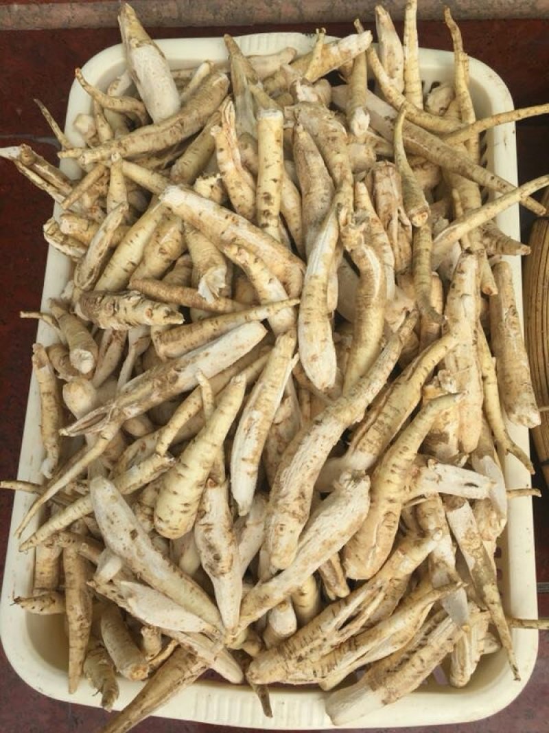 规格齐全的当归产品欢迎电话咨询享受超高性价比