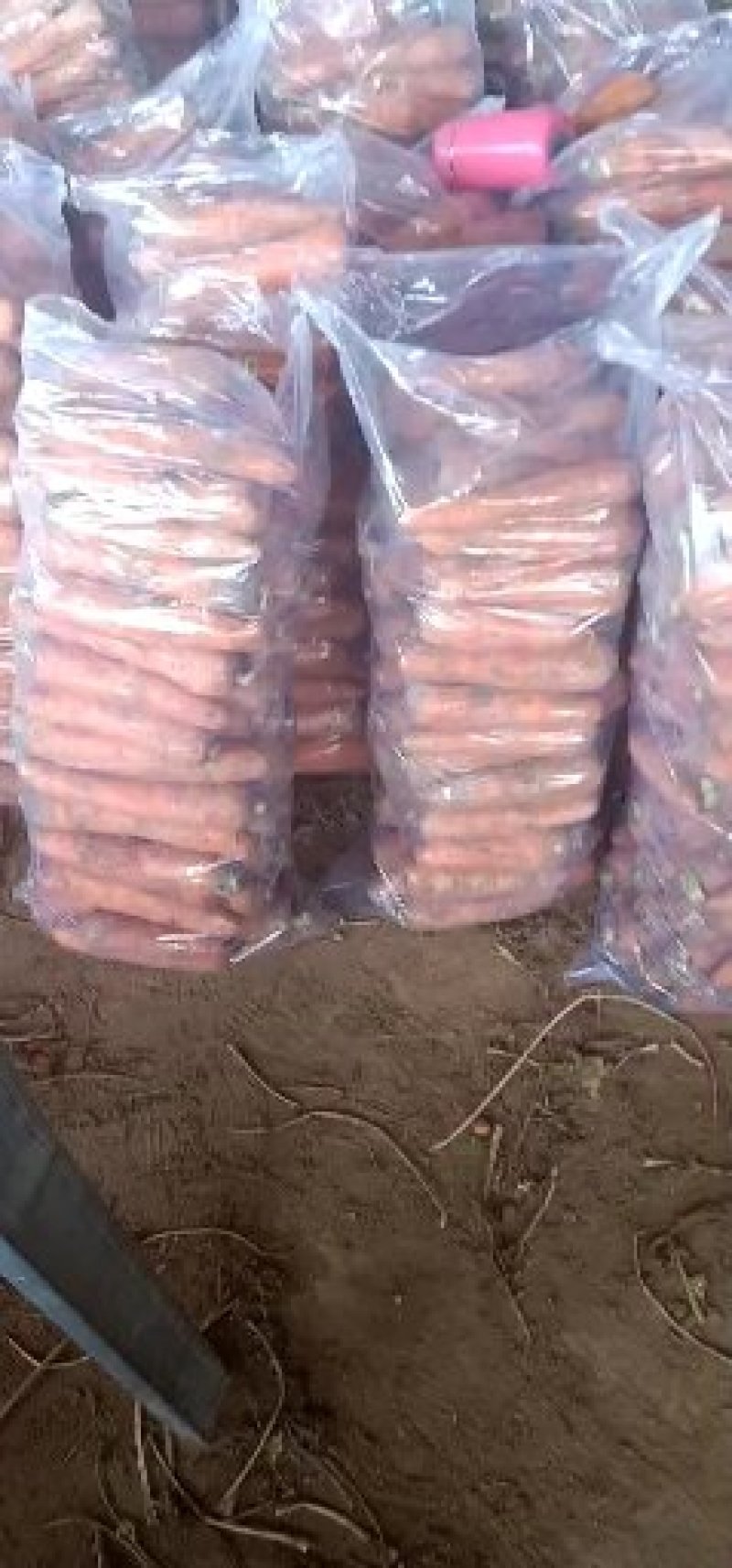 胡萝卜韩国七寸红三红胡萝卜开封红萝卜河南红萝卜