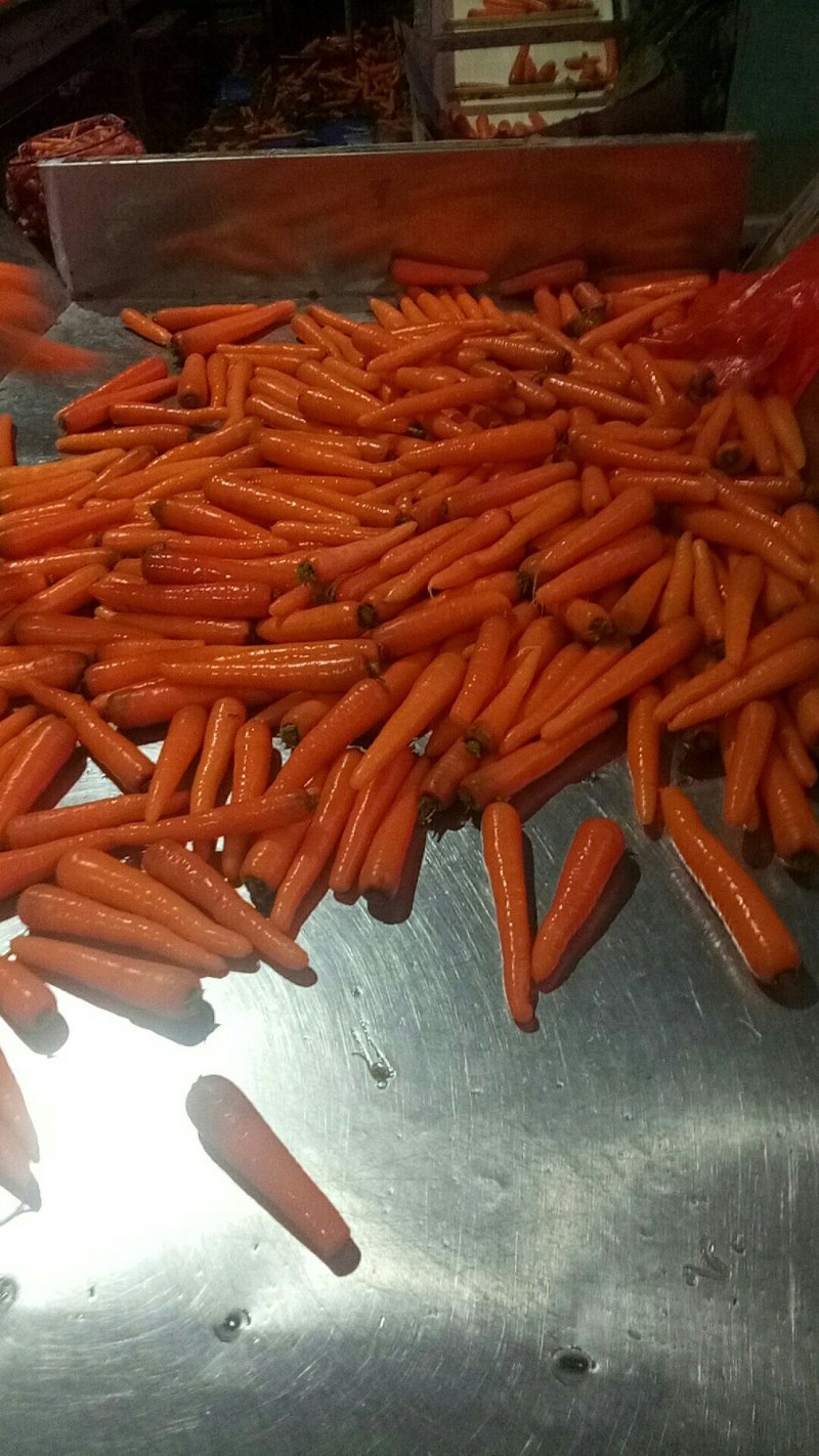 胡萝卜，水洗胡萝卜，三红胡萝卜一手货源
