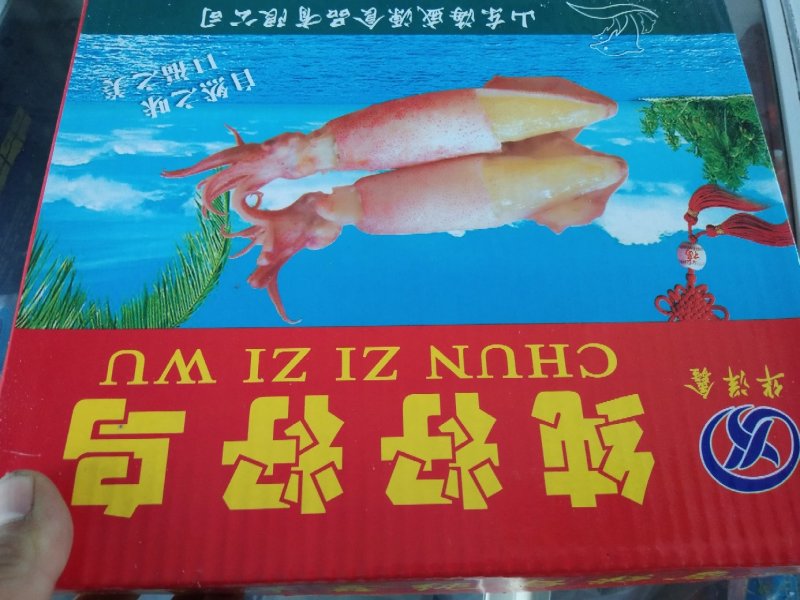 大连海参