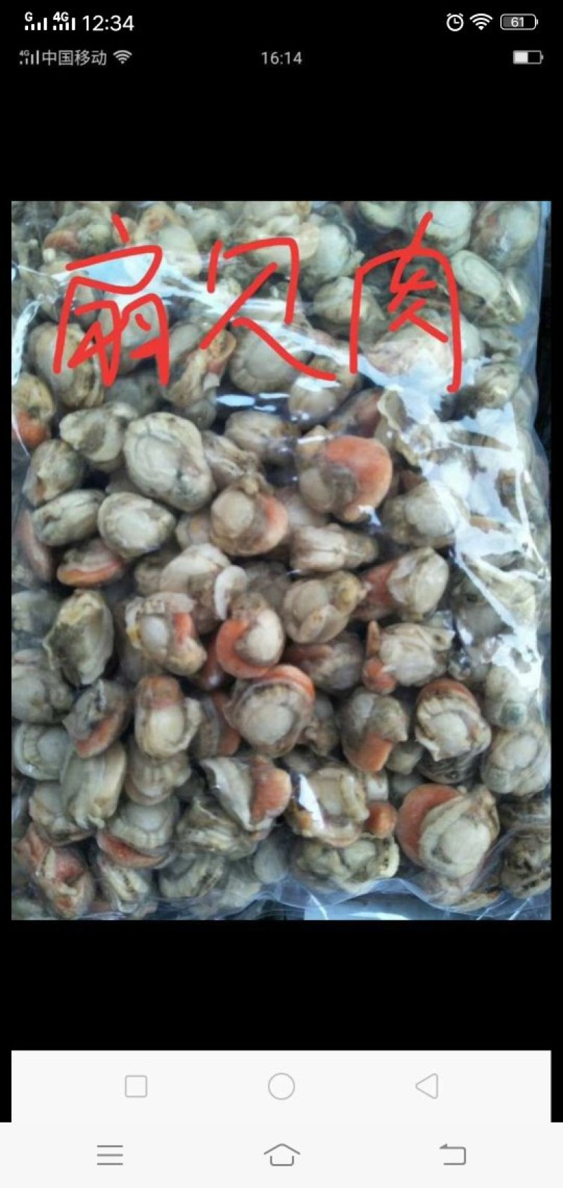 大连海参