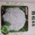 西兰花种子一劲松68松花菜