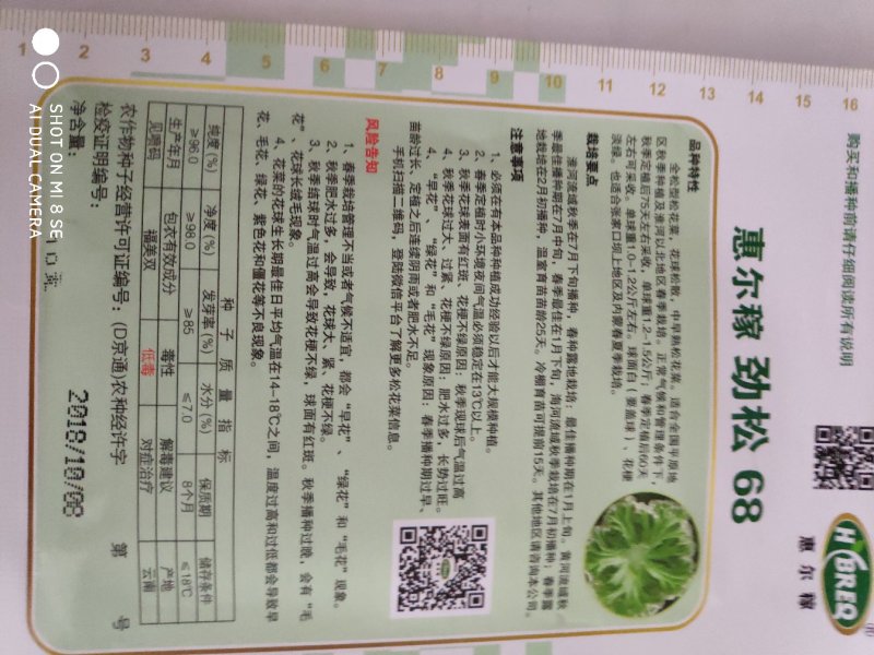 西兰花种子一劲松68松花菜