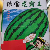 西瓜种子一绿宝龙霸王西瓜