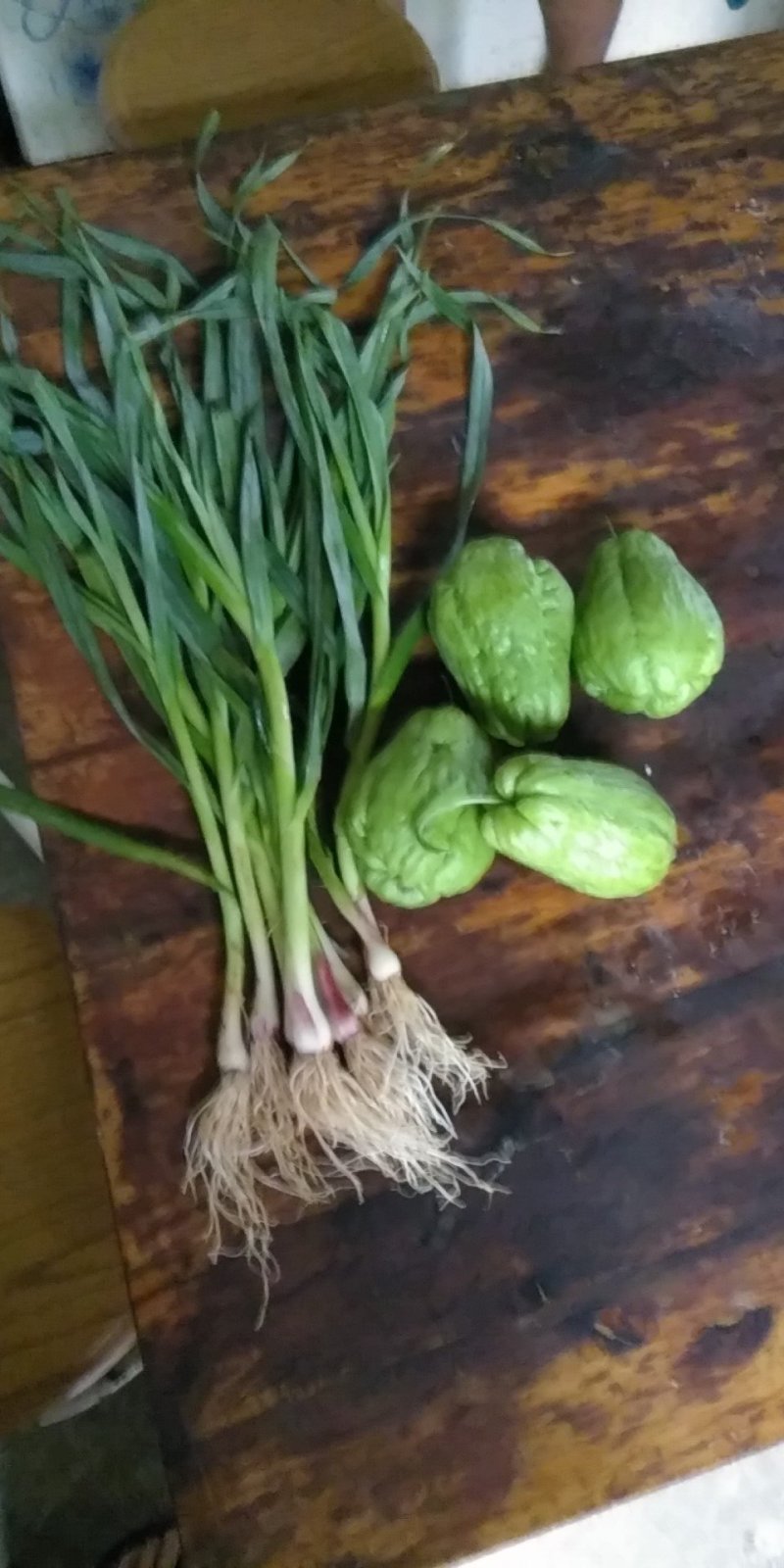 拂手瓜三七朝天辣菜姜