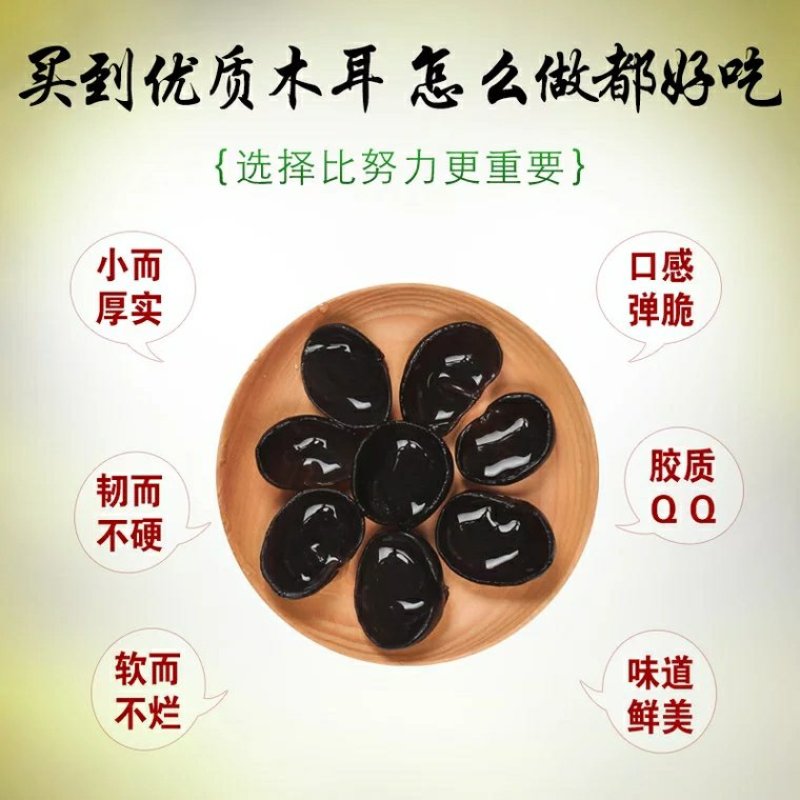东北特产木段木耳长白山纯野生椴木精选特级小碗黑耳