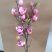 仿真广玉兰花