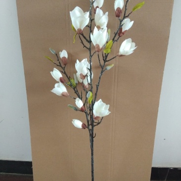 仿真广玉兰花