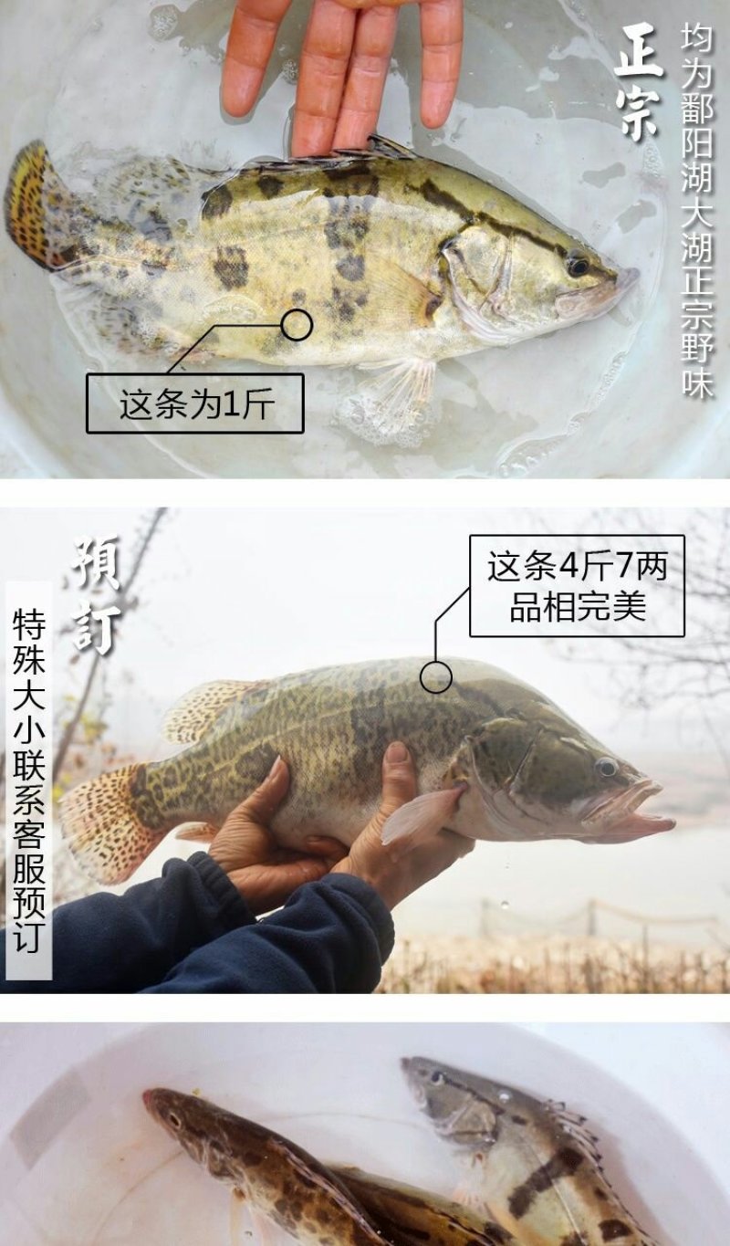 水产品