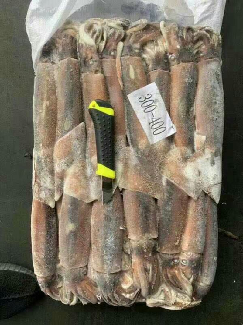 阿根廷鱿鱼