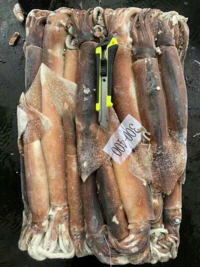 阿根廷鱿鱼