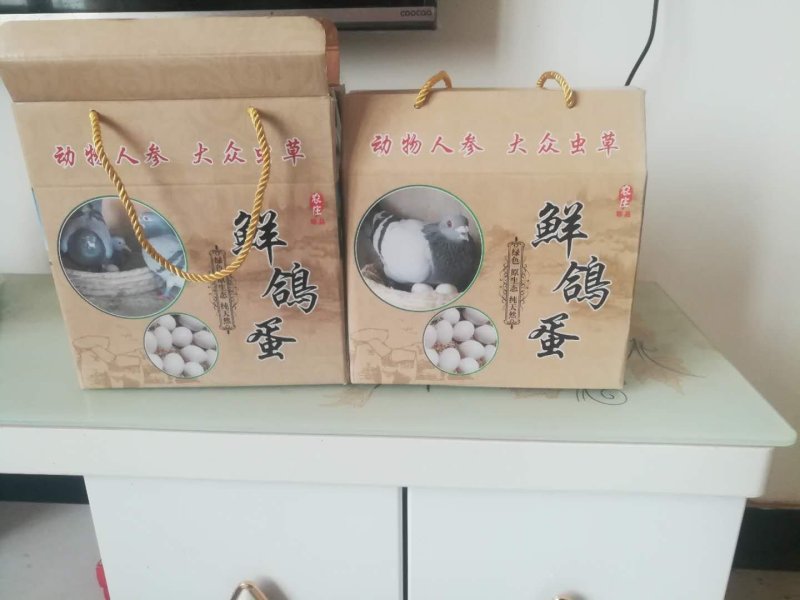 新鲜鸽子蛋