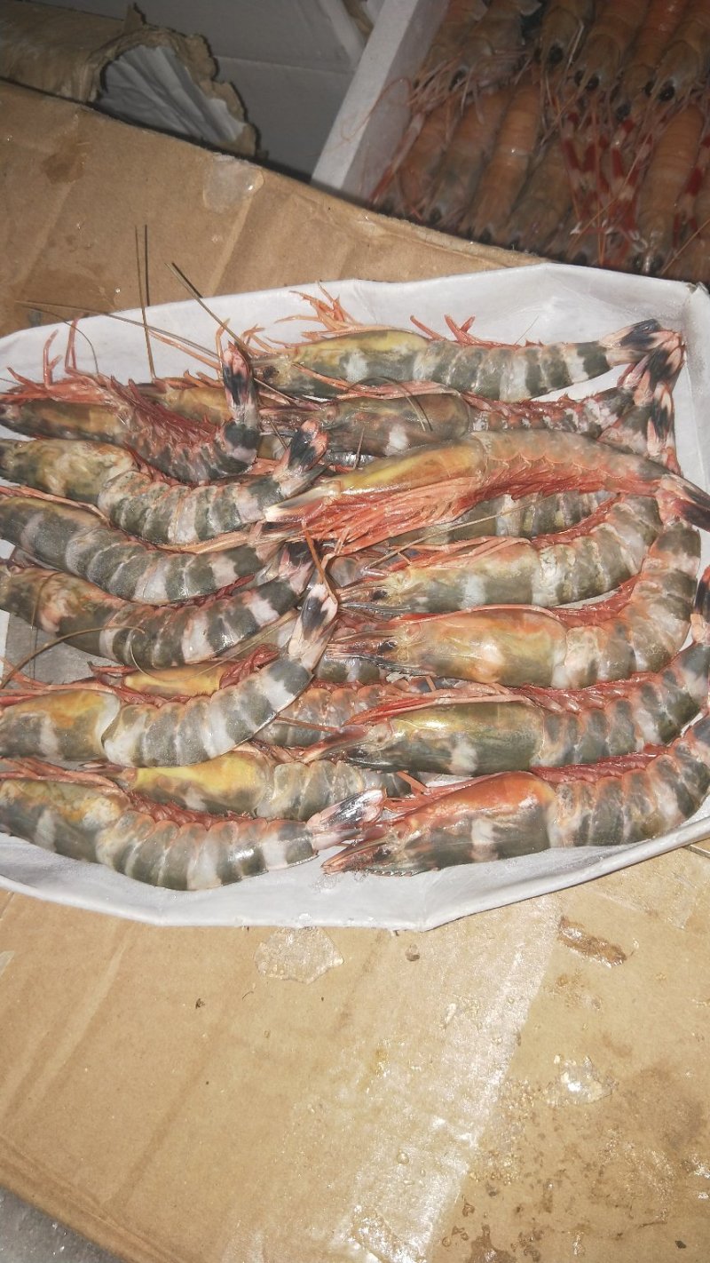 螃蟹扇贝大虾
