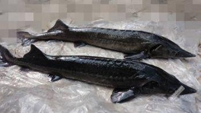 诚信为本。以顾客做人。