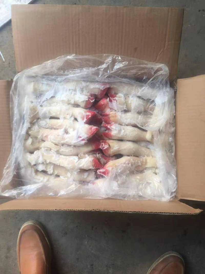 羊蹄