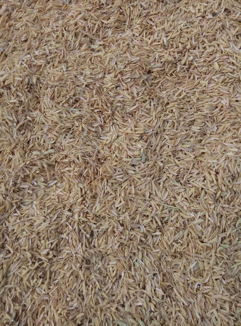 稻壳压缩稻壳统糠散装稻壳除尘稻壳鸡鸭鹅垫料