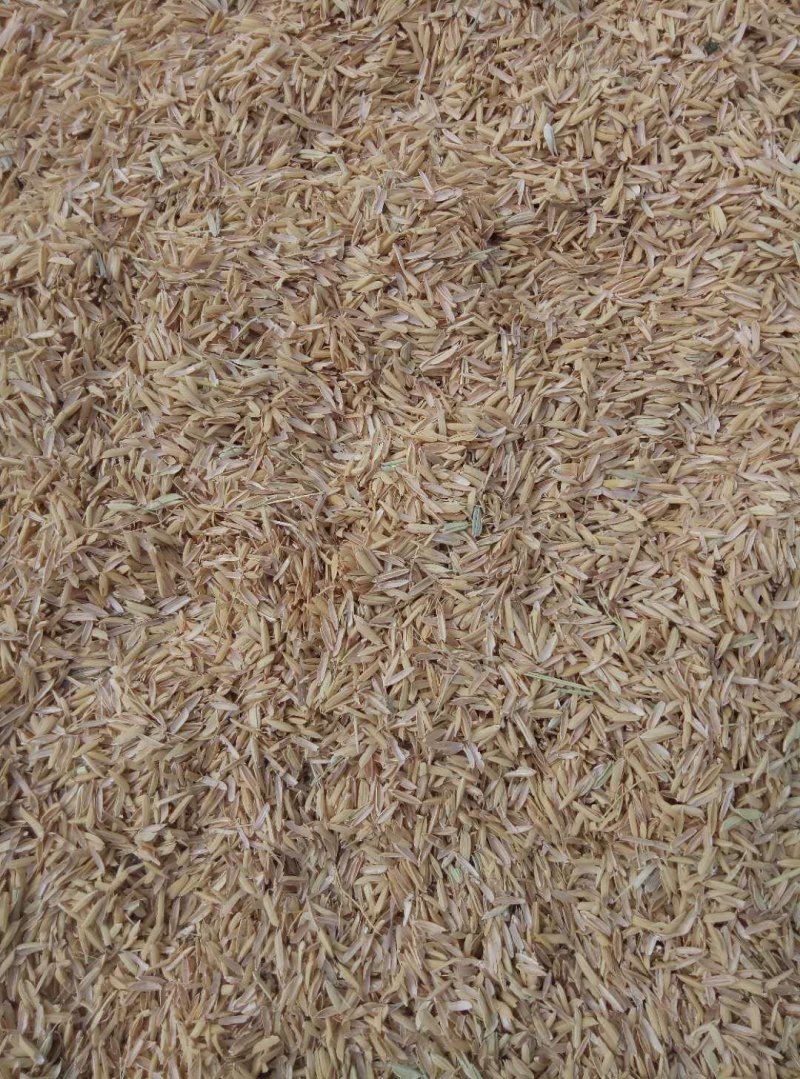 散装稻壳除尘稻壳鸡鸭鹅垫料饲料压缩稻壳