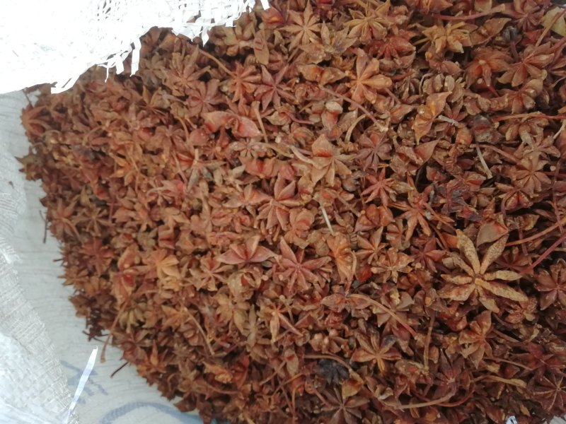 春花八角