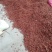 春花八角
