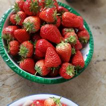 草莓，九九草莓，丹东草莓，基地草莓，个大脆甜甜，各种包装
