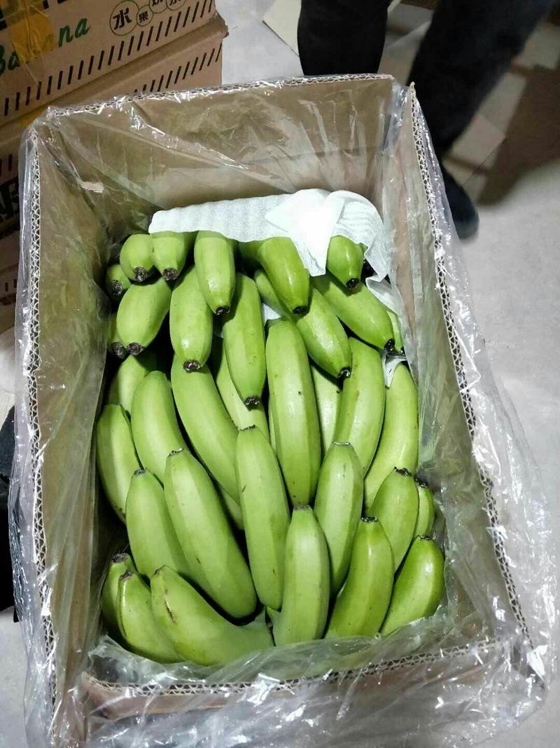 云南香蕉，果面干净把型，口感香甜，供应超市电商