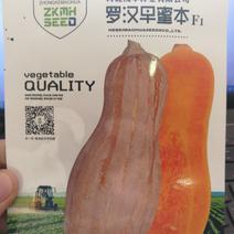 【优质】罗汉蜜本南瓜种子品质好产量高50粒一袋
