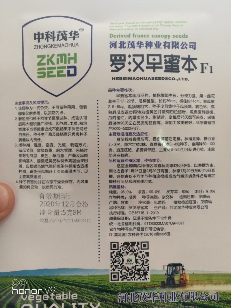 【优质】罗汉蜜本南瓜种子品质好产量高50粒一袋