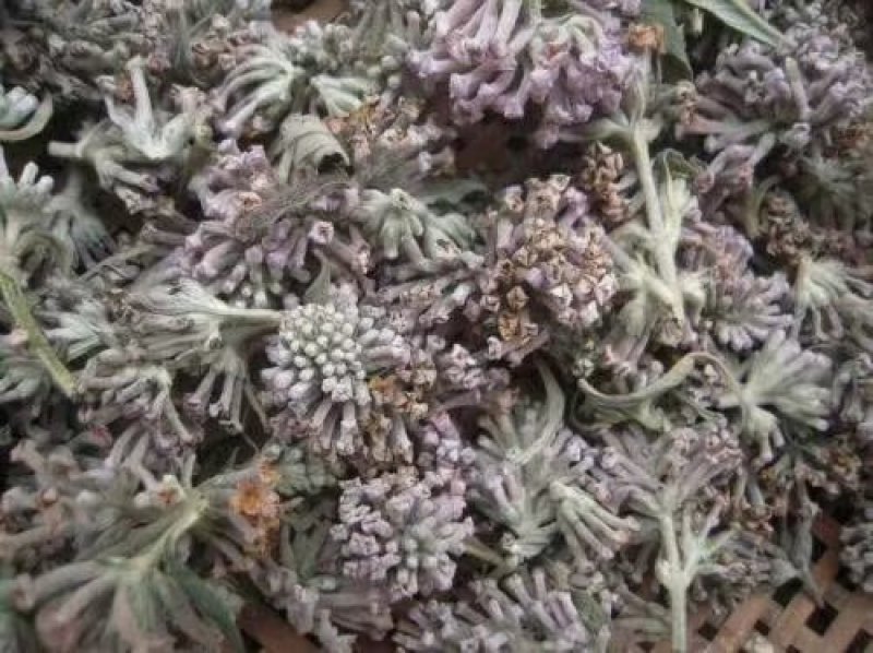 密蒙花全干货货包质量中早期全干货可以发货物流快递