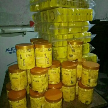 金丝皇菊
