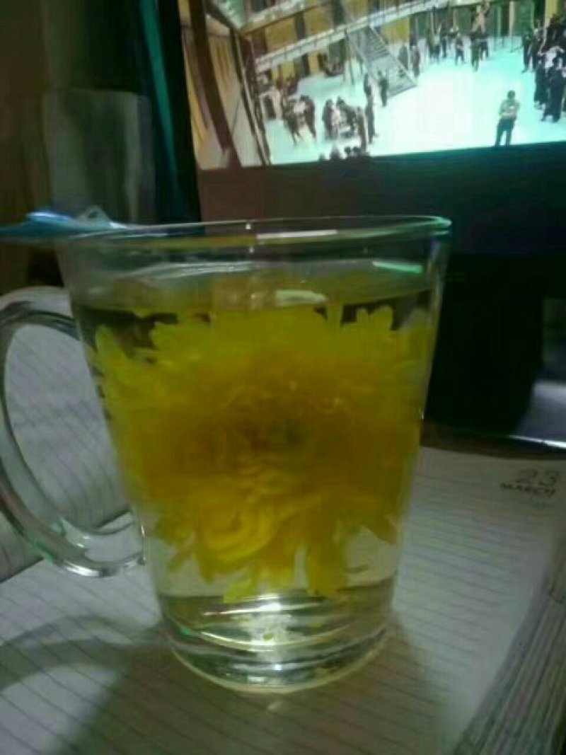 金丝皇菊